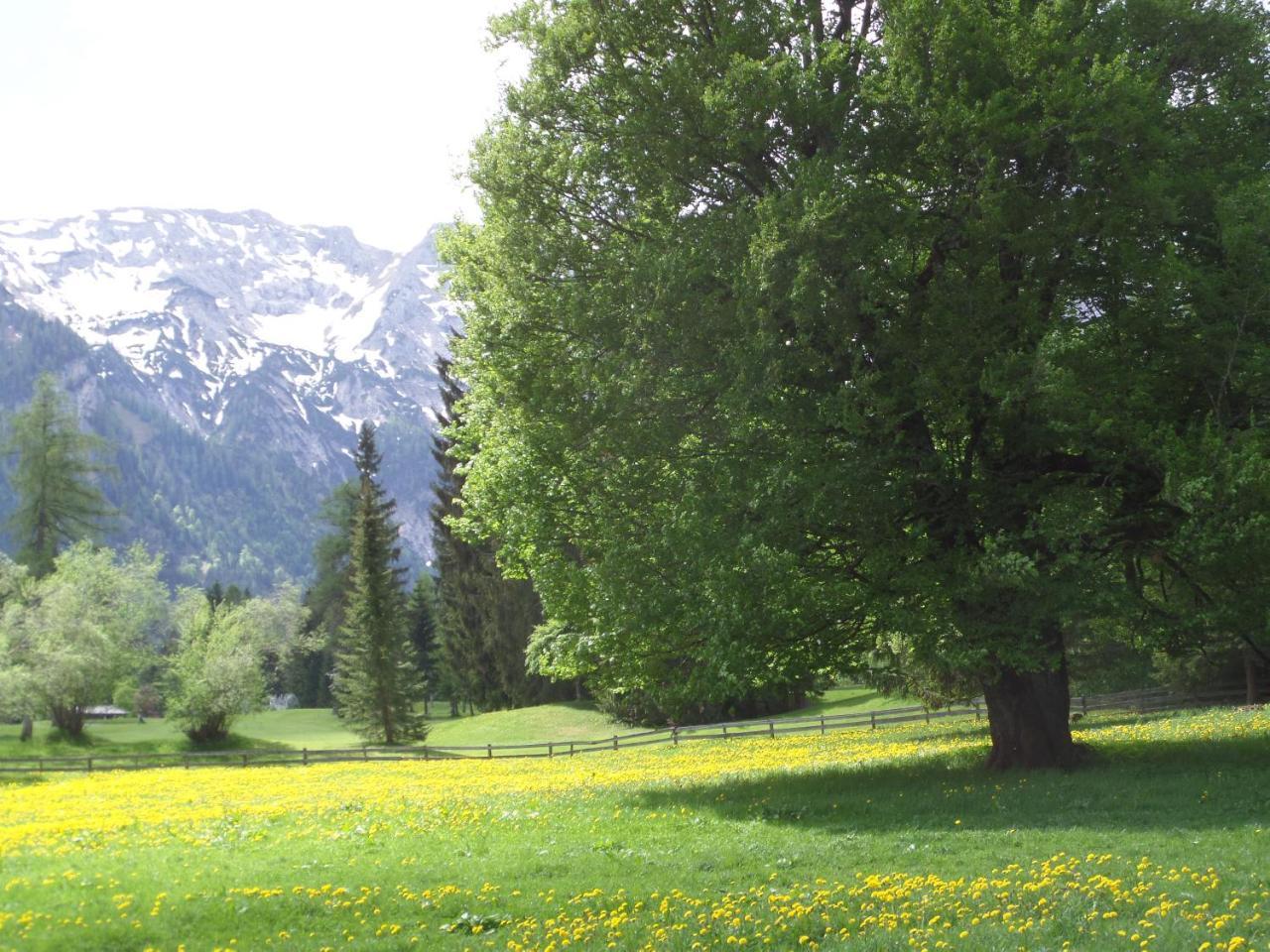 Haus Regenbogen Pertisau